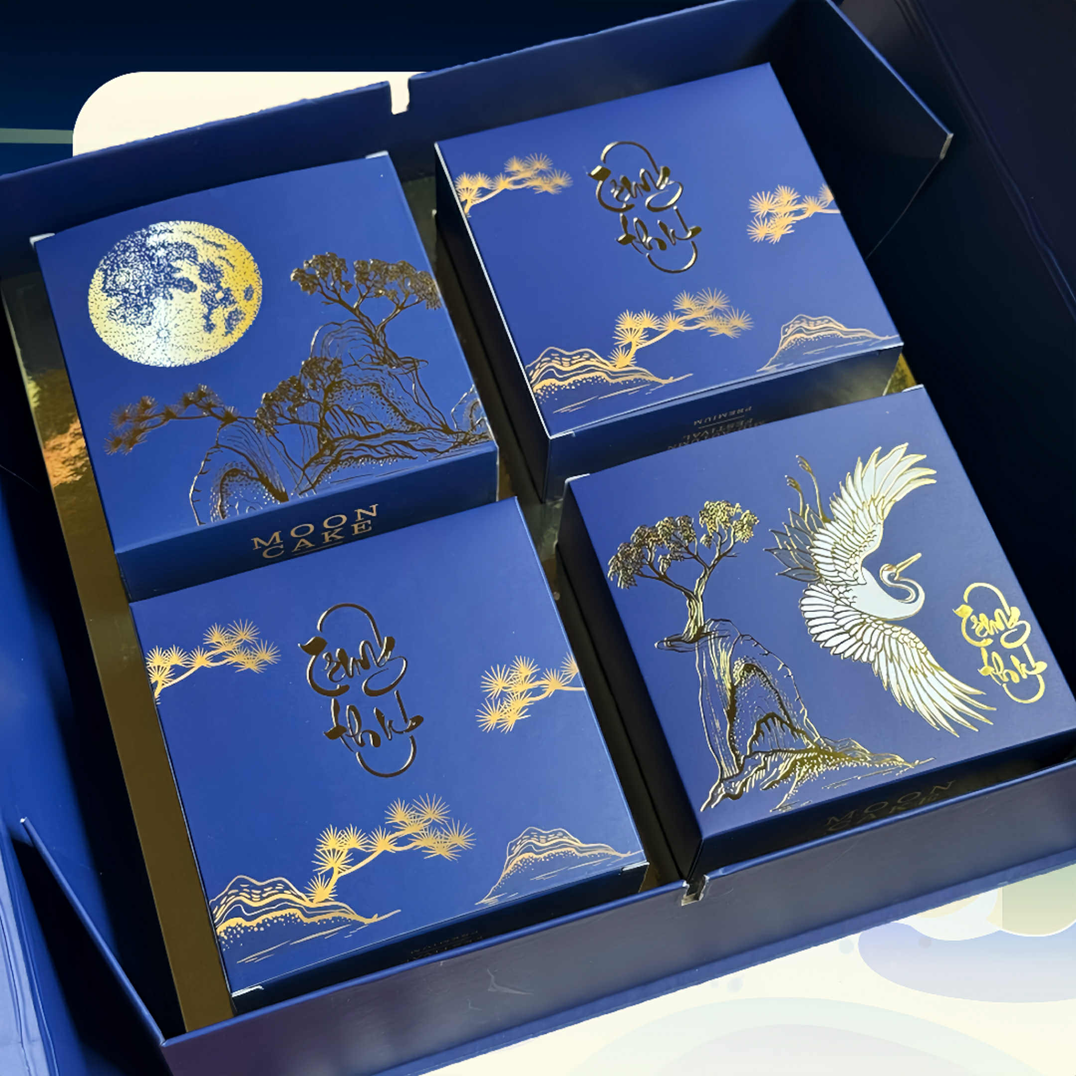 Tinh Hoa Doan Vien 2